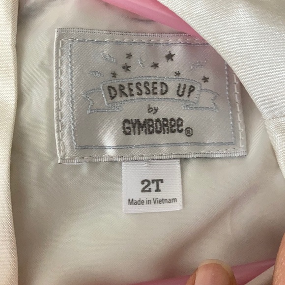 Gorgeous Gymboree Holiday Dress 2t - Picture 4 of 5